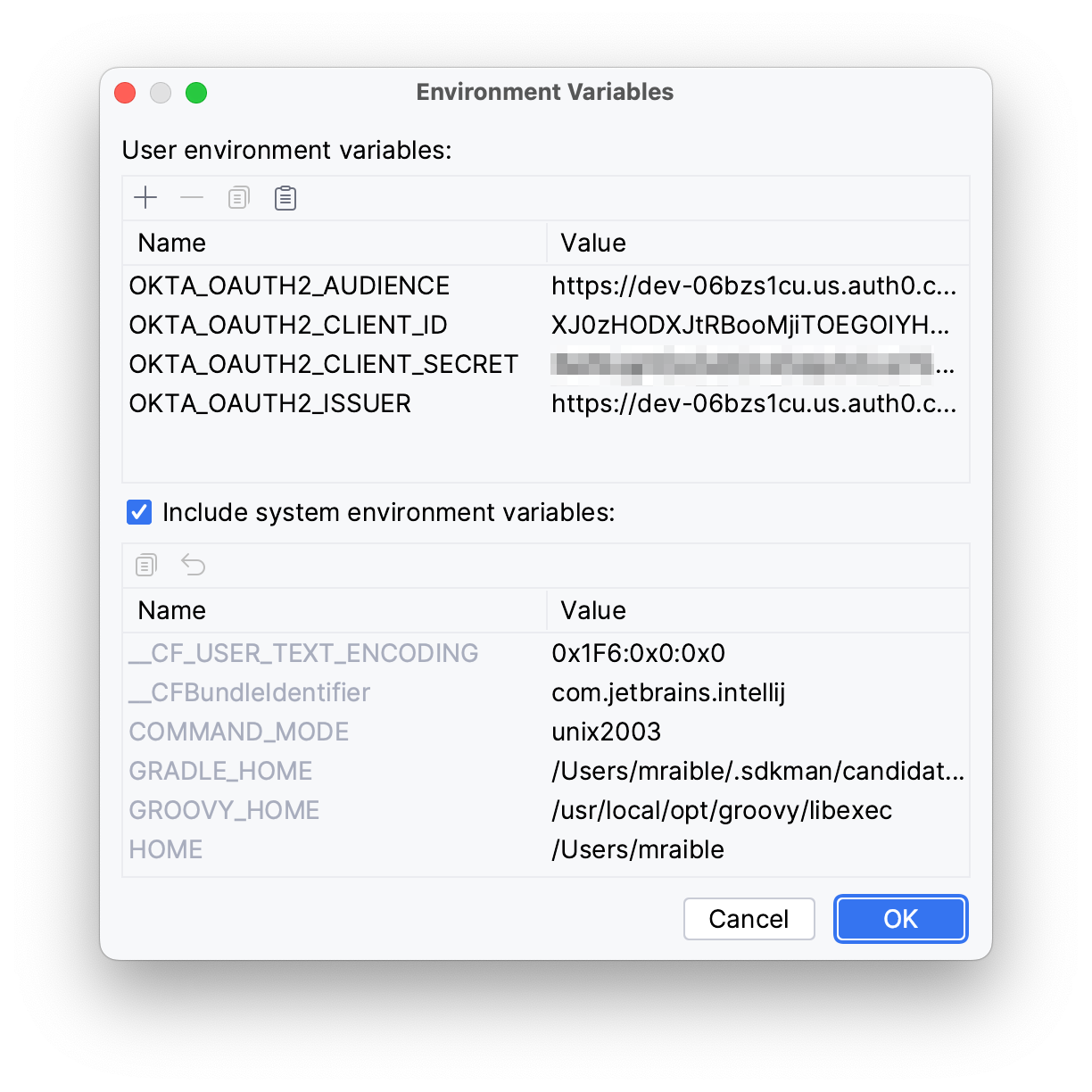 IntelliJ Environment Variables